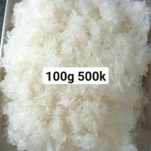 Yến tươi nguyên chất 100% – sạch lông, giao lạnh tận nơi